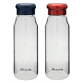 Tragbare Wasser-Glasflasche mit Schutztasche